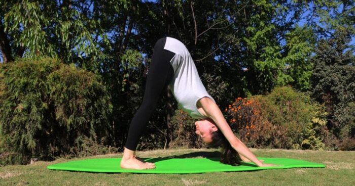 Adho Mukha Svanasana